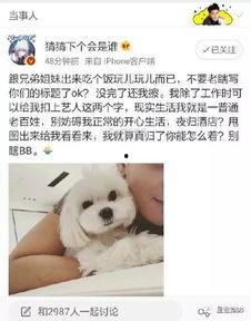 怎样怼吃瓜人,如何优雅怼回吃瓜人生