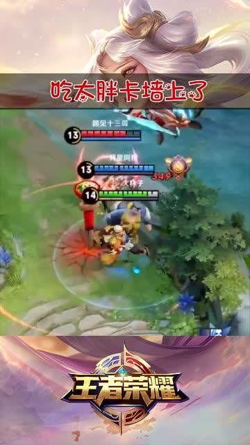 王者荣耀水瑶吃瓜,揭秘王者荣耀背后的神秘故事