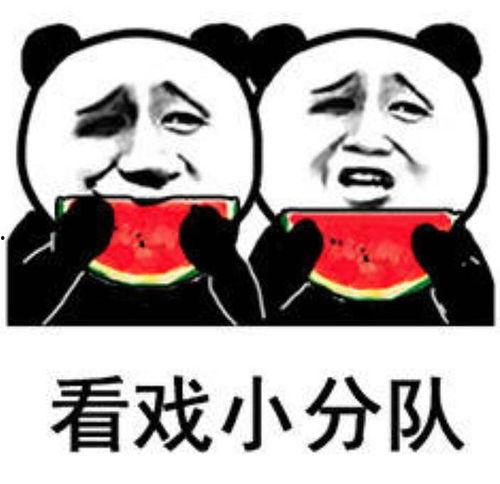 吃老瓜表情包,趣味横生的网络文化现象