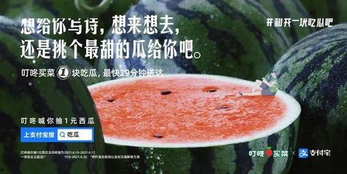 吃瓜日常文案,揭秘娱乐圈那些事儿