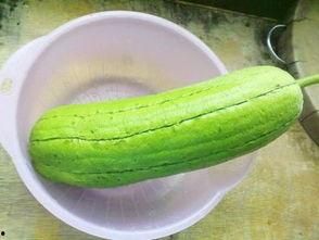 江苏水瓜怎么吃,风味独特的家常美味探索