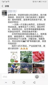 邀请邻居吃瓜,一场欢乐的夏日邻里聚餐