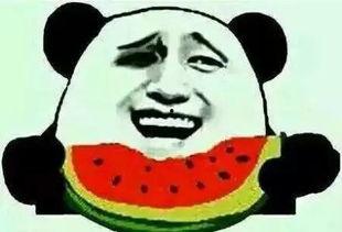 吃瓜群众速速来