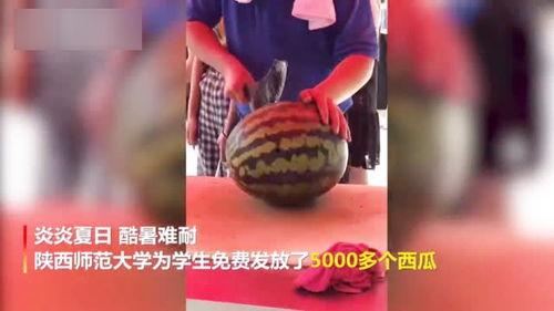 大学吃瓜视频在线