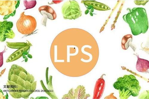 手帐日常吃瓜,手帐里的日常吃瓜记